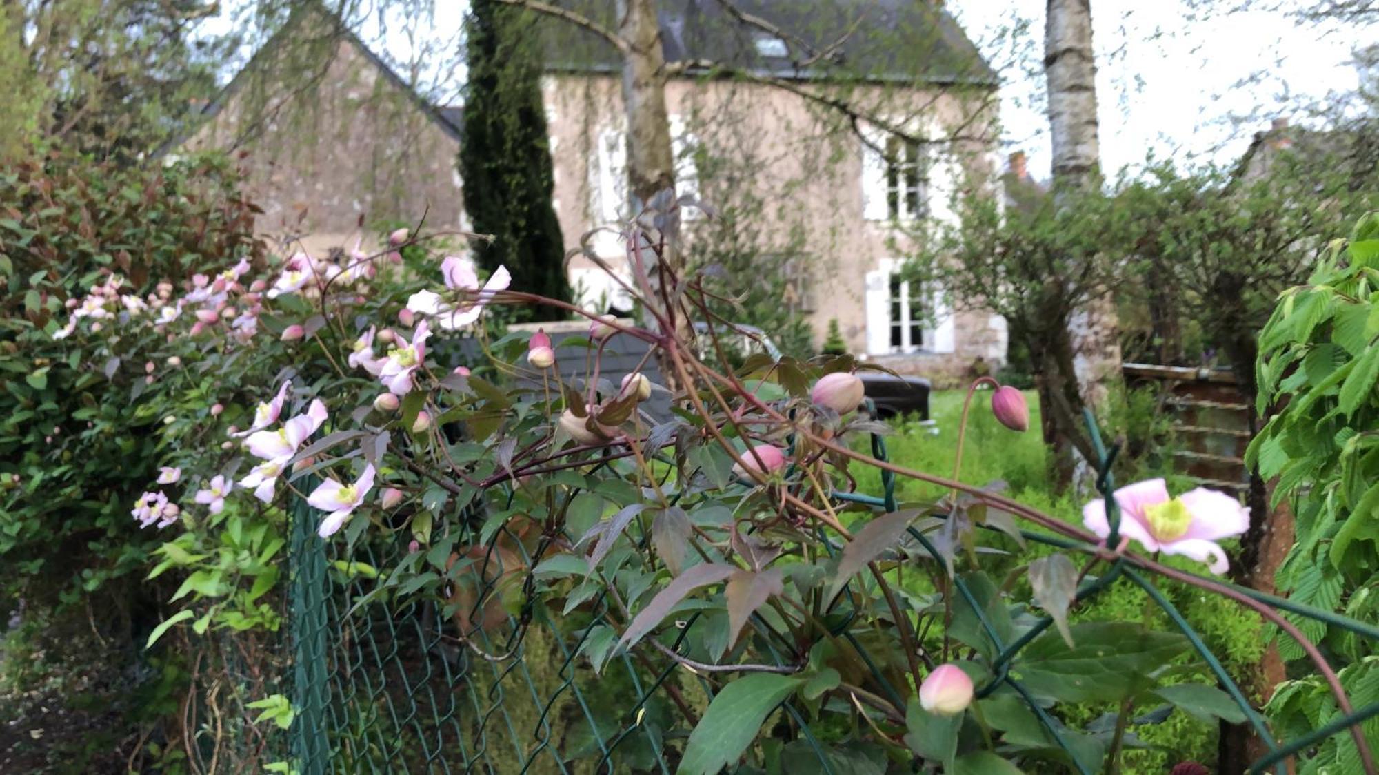 La Thibautiere Bed & Breakfast Blaison Exterior photo